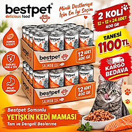 24 adet kedi konserve