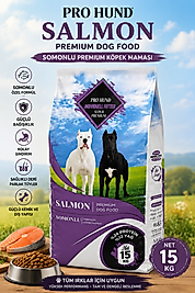 Pro hund somonlu