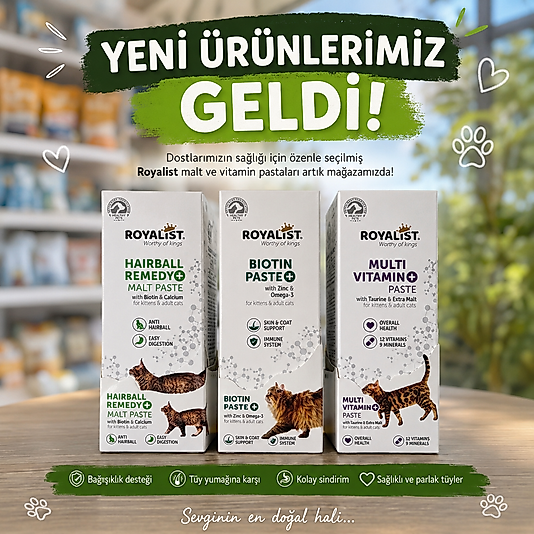 Kedi maltı