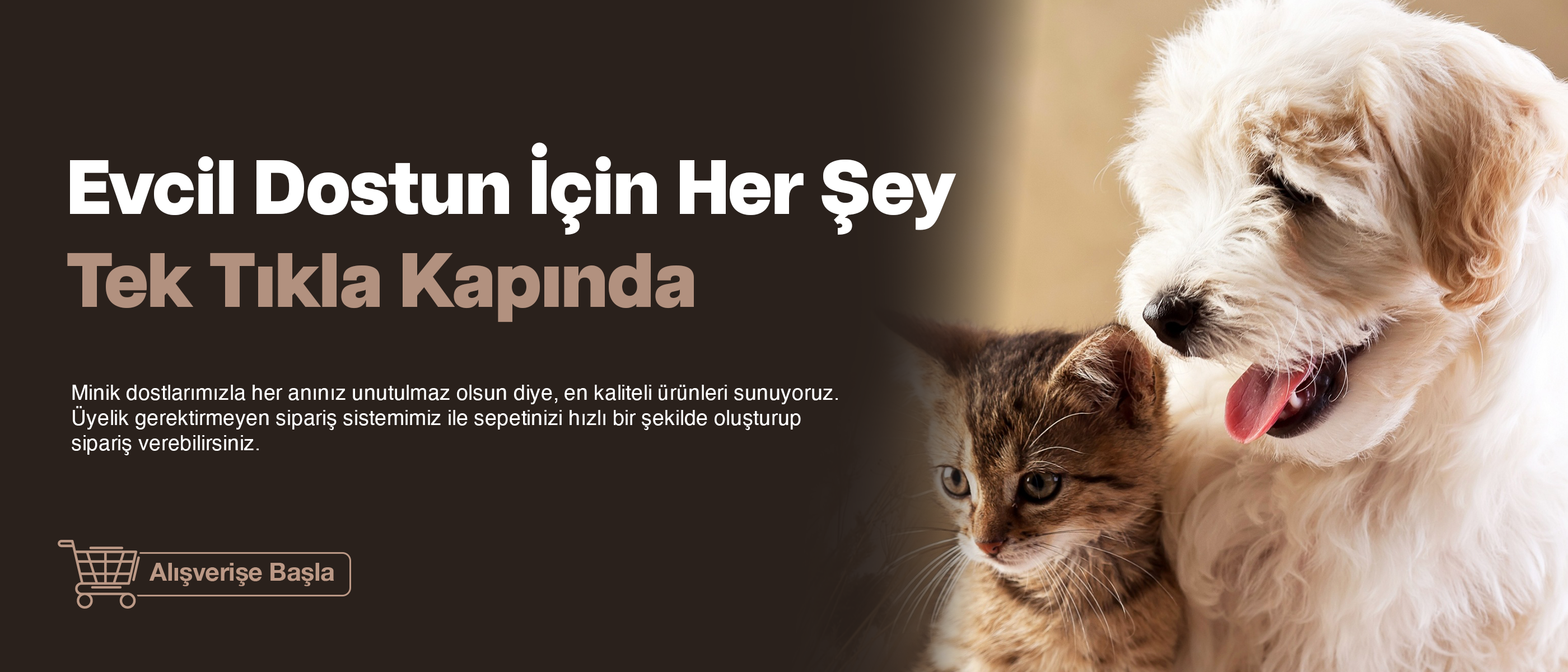 Anasayfa Slider